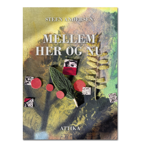Steen Andersen: Mellem her og nu