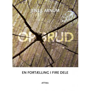 Jens J. Arnum: Opbrud