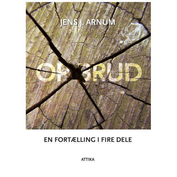 Jens J. Arnum: Opbrud