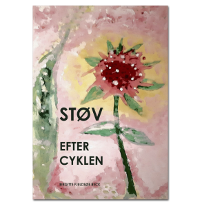 Birgitte Fjeldse Beck: STV EFTER CYKLEN