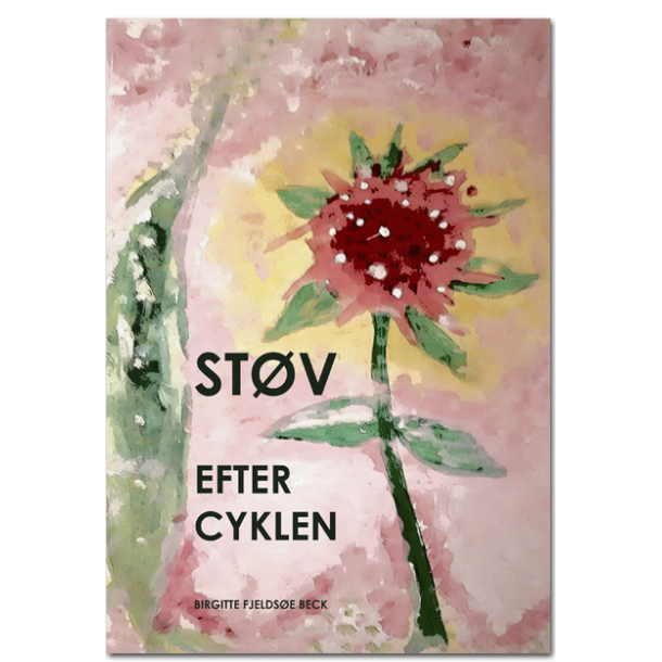 Birgitte Fjeldse Beck: STV EFTER CYKLEN