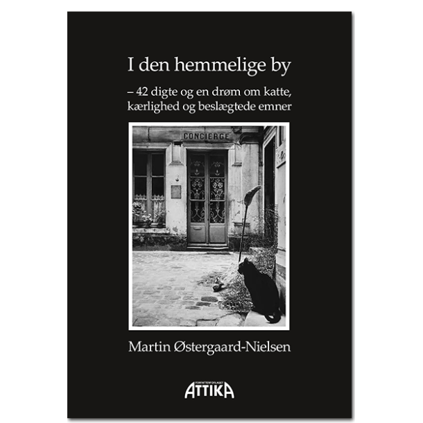 Martin stergaard-Nielsen: I den hemmelige by