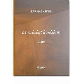 Lars Mnster: Et virkeligt landskab