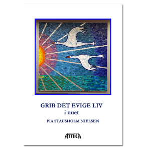 Pia Stausholm Nielsen: GRIB DET EVIGE LIV i nuet